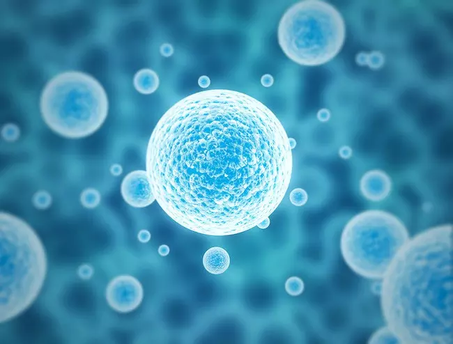幹細胞研究を一変させる"ビレッジ アプローチ"：幹細胞研究が100倍効率化