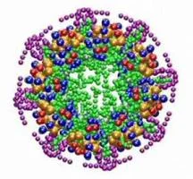 細胞老化の謎を解く長命なタンパク質を発見