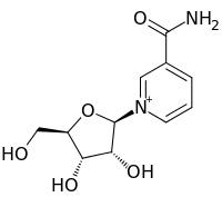 ニコチンアミドリボシド・サプリメントの臨床試験で、NAD+の増加と抗老化効果を実証