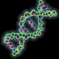 膵臓がんの大規模ゲノム配列解析研究で遺伝子関与が明らかに