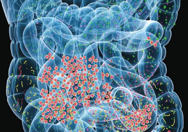 腸に届く善玉細菌の生存率を6倍以上にする技術をMITのチームが開発