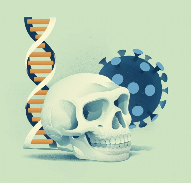 ネアンデルタール人から受け継いだ遺伝的変異がCOVID-19の重症化リスクを約20％減少させていた