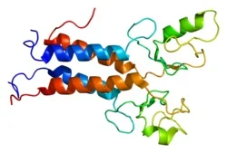 Deep Mutational Scanningで疾患遺伝子変異体の機能解析が更に発展