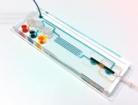 結核その他の細菌感染を迅速正確に検出できる携帯装置