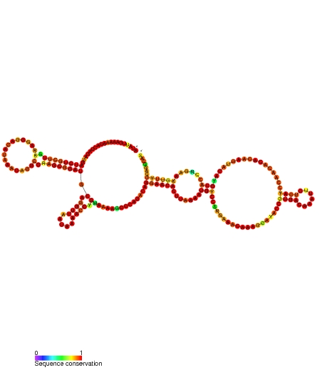 免疫応答を抑制し疾患をコントロールするための新しいパスウェイ(lncRNA HOTAIR)が発見された。