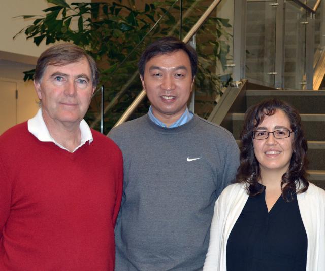 MicroRNA-148aは狼瘡など自己免疫疾患の治療標的として有望