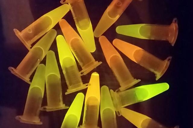 ワシントン大学の研究者がタンパク質生産を最大1000倍に高める方法を発見