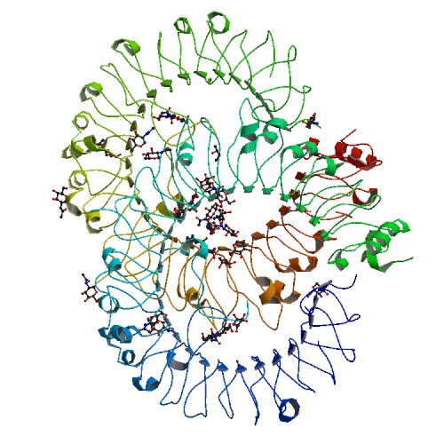 自己免疫疾患の発見から新薬開発へ:TLR8阻害低分子を合成