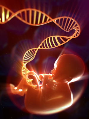 Cell Free DNA (cfDNA)検査でダウン症候群発見に優秀な成果