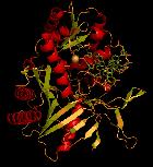 ノーベル受賞者、「MicroRNAやpiRNAは、細胞核中の転写、シナプスの局所的翻訳などの協調的調節に関わっている」と発表、Neuroscience 2013にて