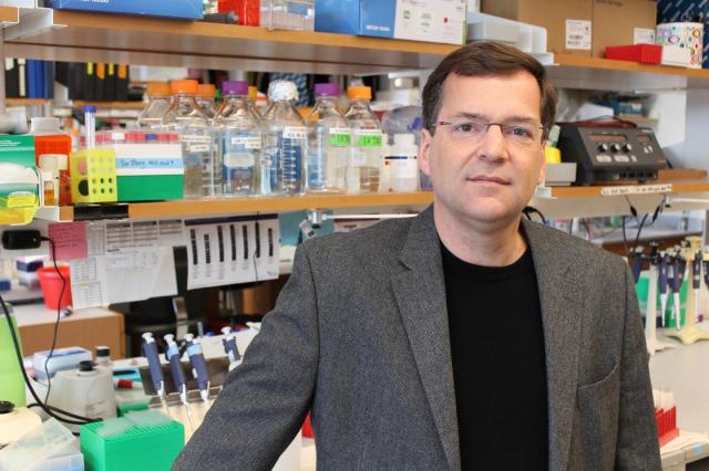 CRISPR/Cas9に天然オフスイッチ発見。ゲノム編集の制御が可能に。