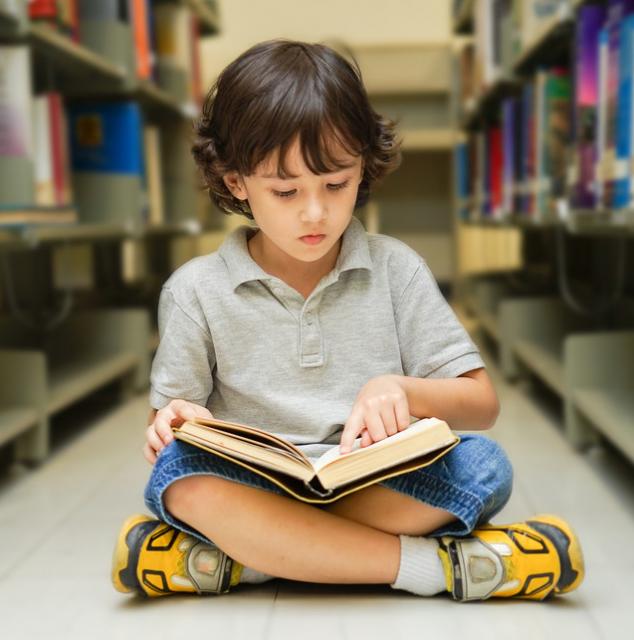 ヒトの読書能力は下側頭葉皮質のリサイクルがもたらしたとの仮説をMITの神経科学者が提唱