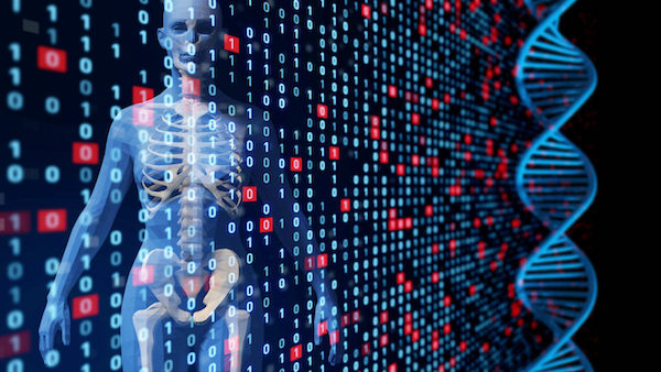 ハーバード大学が開発したプログラム『Codetta』が25万ゲノムの遺伝暗号を解読。大規模解析で遺伝暗号が普遍的でないことが明らかに。