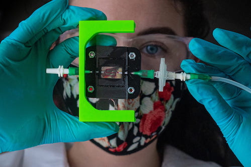 ライス大学の研究チームが1型糖尿病のためのインスリン産生インプラントを開発中