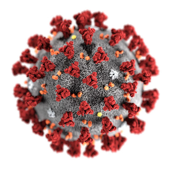 ヒト細胞においてSARS-CoV-2の複製を抑制する9種類のFDA承認薬が特定された