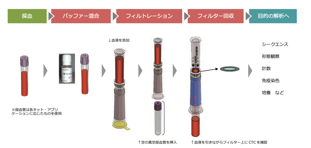 screencell01