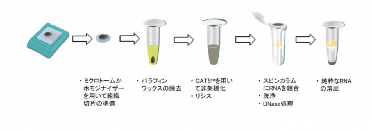 RNA RNA