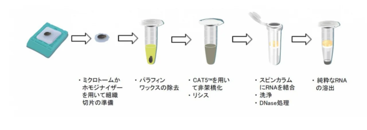 RNA RNA