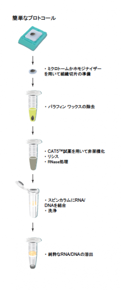 celldata65 celldata65