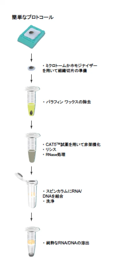 celldata65 celldata65