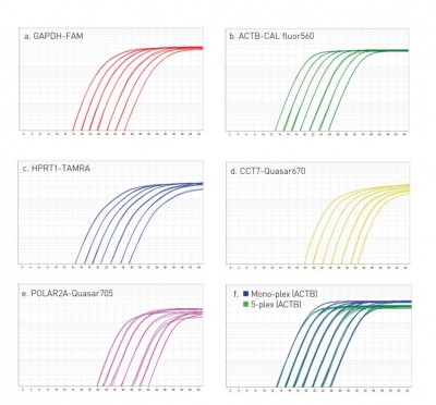 Enzymatics ZipScript One-Step RT-qPCR Mix