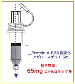 ラットやマウスのモノクローナル抗体精製キット Ab-Express