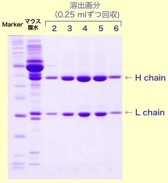 uid000001_20100404004828062d78a1 uid000001_20100404004828062d78a1