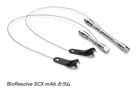 BioResolve SCX mAbカラム:抗体チャージバリアントのイオン交換分析