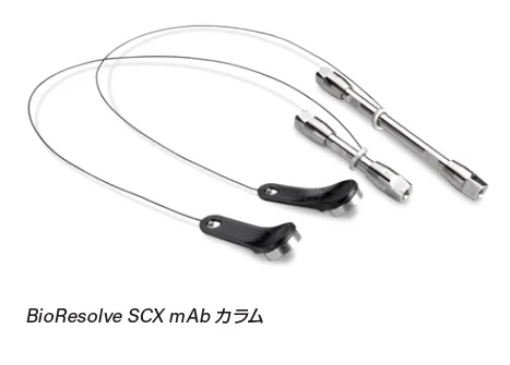 BioResolve SCX mAbカラム：抗体チャージバリアントのイオン交換分析
