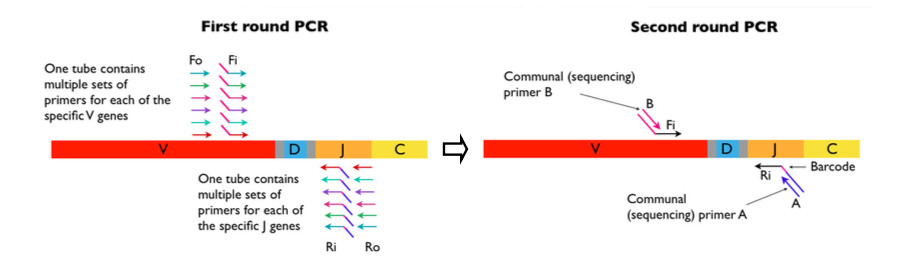 ir_arm-pcr ir_arm-pcr