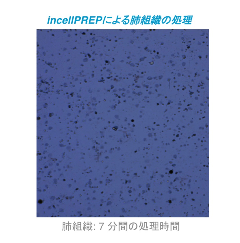 incellPREP2 incellPREP2