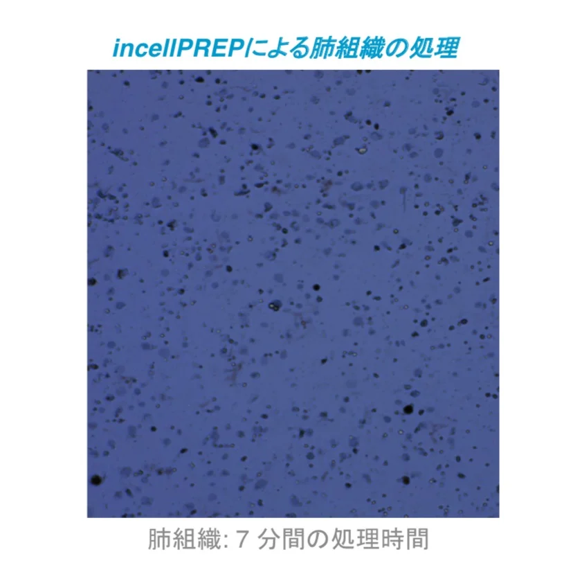 incellPREP2 incellPREP2