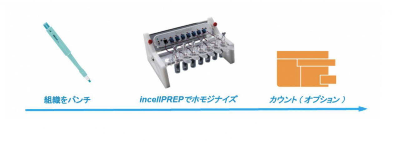 incellprep02 incellprep02