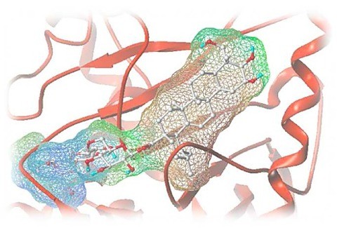 Greenpharma 生物活性分子受託探索サービス