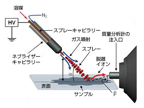 DESI (脱離エレクトロスプレーイオン化)質量分析イメージング