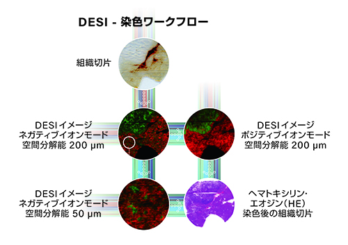 DESI_-1 DESI_-1