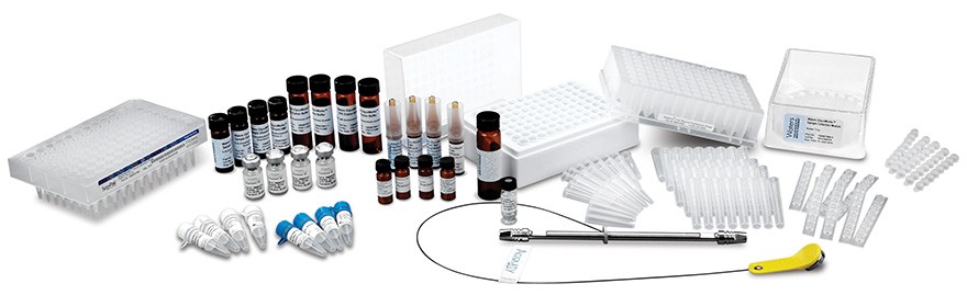 GlycoWorks RapiFluor-MS N型糖鎖解析キット