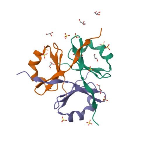 乳がん研究における重大な発見:コラーゲンXVIIIの機能を抑制することで乳がん細胞を弱体化