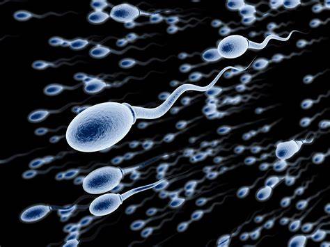 高齢の父親が子供に多くの遺伝子変異を受け継ぐ理由