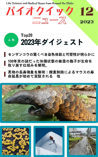 生命科学雑誌バイオクイックニュース：2023年12月号 ダイジェスト版