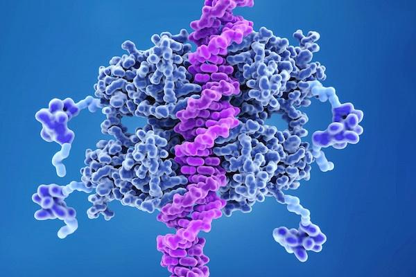 mRNAナノ粒子を用いて肝臓癌の腫瘍微小環境の再プログラムに成功