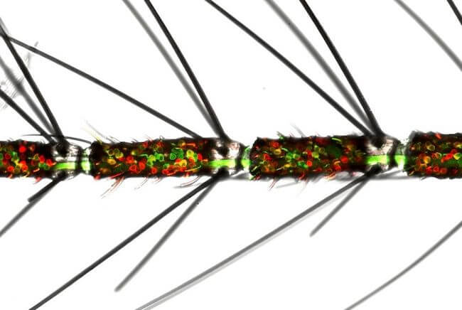 蚊が人間の匂いを嗅ぐ仕組みの謎に迫る:蚊の嗅覚神経が複数の化学物質受容体を発現していることを示す、従来の常識を覆す新発見
