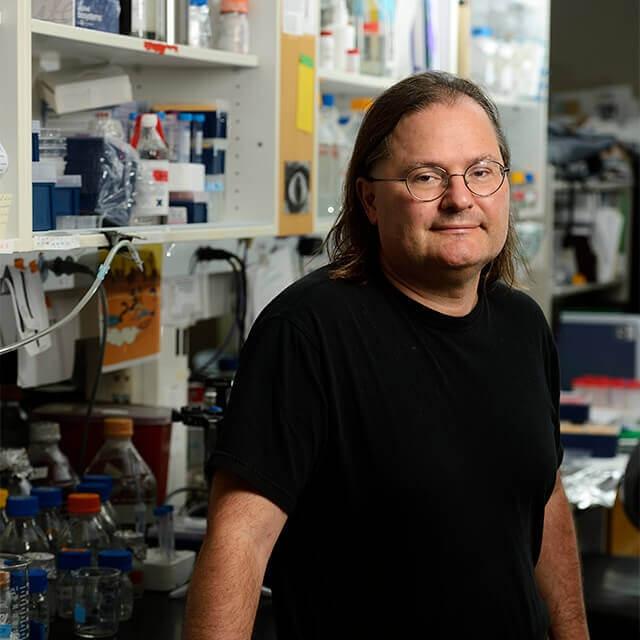 特定の細胞を標的とする新たな遺伝子治療の実証研究に成功