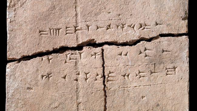 2,900年前の土のレンガから古代のDNAを抽出、植物の生命のタイムカプセルが明らかに
