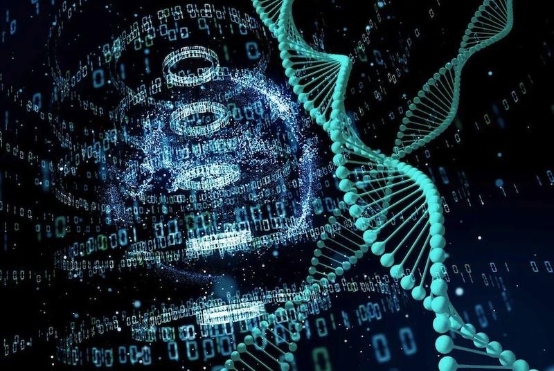ナノスケールのDNA格子をシリカにコーティングし、史上最高の重量比強度を持つ材料を開発