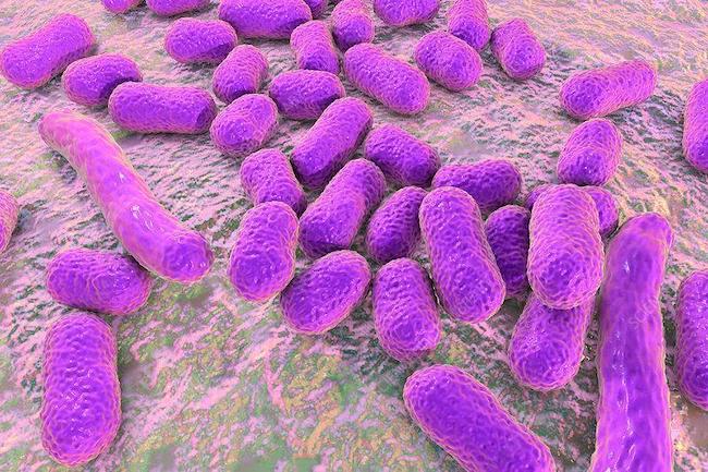 抗生物質耐性感染症に朗報!AIアルゴリズムで新薬発見、MITとマクマスター大学の共同研究