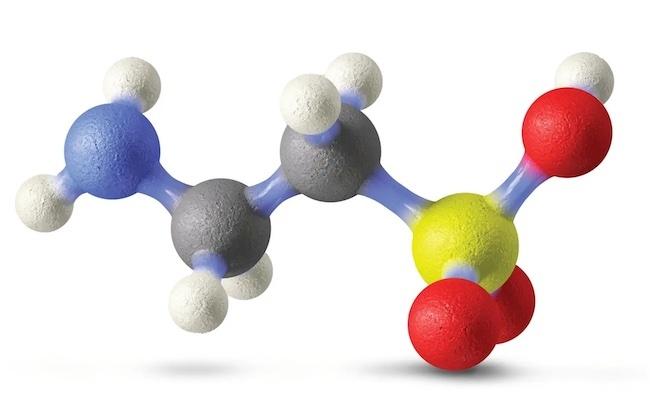 健康寿命を延ばす鍵はタウリン?コロンビア大学の革新的な発見