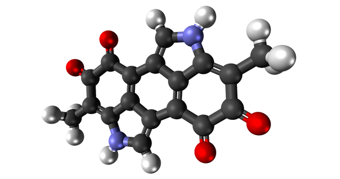 合成メラニンが有害な活性酸素を消去し、炎症を抑えることで、皮膚の傷の治癒を早める。