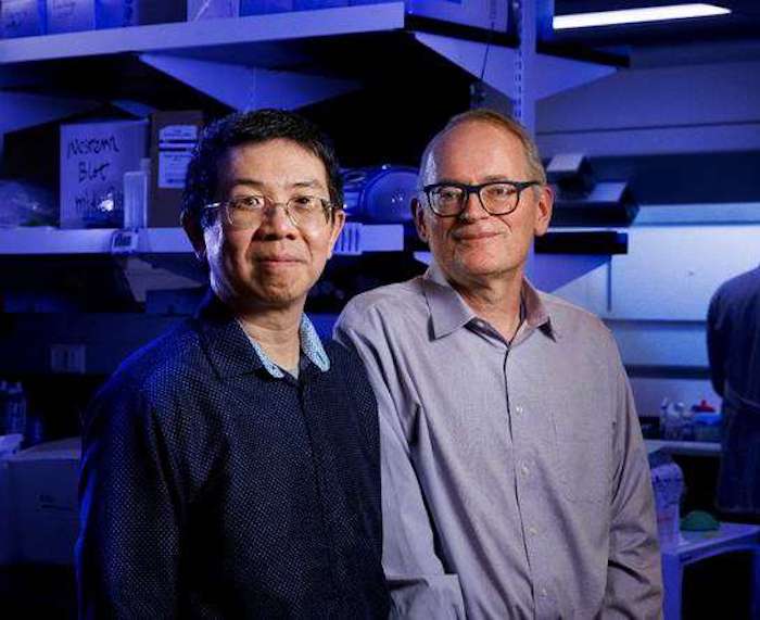 牛乳エクソソームによる遺伝子編集技術の革新