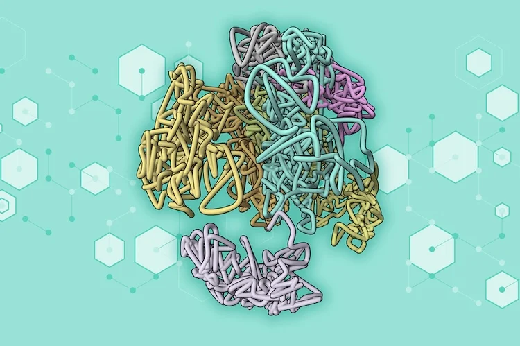 AIがDNAの3D構造を高速予測：クロマチン解析の新時代へ